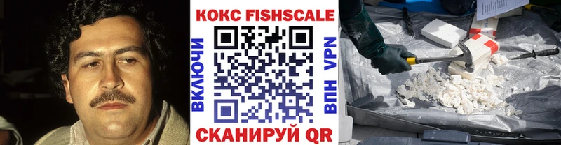 Cocaine Fish Scale  где найти   Петрозаводск 