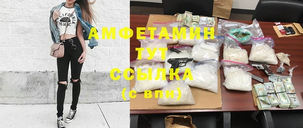 ECSTASY Алзамай