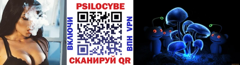 omg как зайти  Петрозаводск  Галлюциногенные грибы мухоморы  магазин  наркотиков 