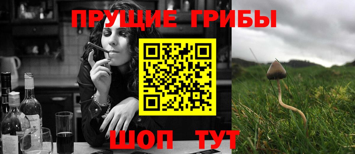 Псилоцибиновые грибы мухоморы Петрозаводск