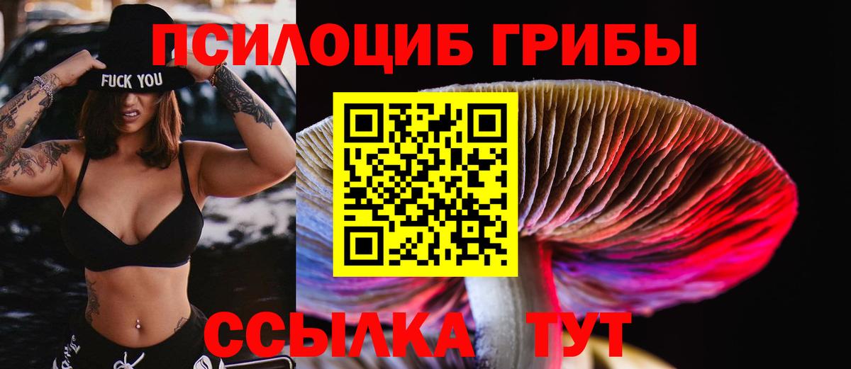 Петрозаводск  Галлюциногенные грибы MAGIC MUSHROOMS  дарнет шоп  Псилоцибиновые грибы MAGIC MUSHROOMS  Вход с VPN 