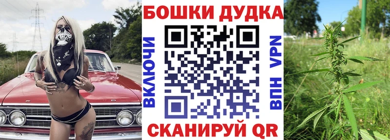 МАРИХУАНА Bruce Banner где найти гидра онион Петрозаводск